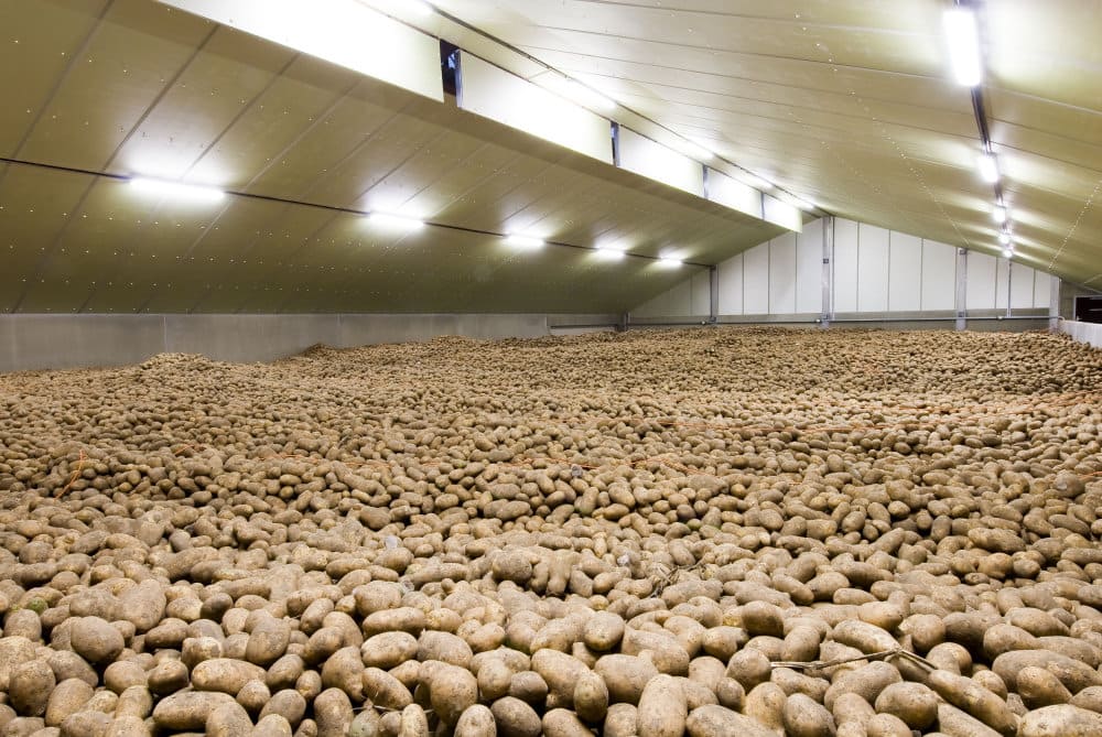 Onion - Potato Agricultural Warehouse