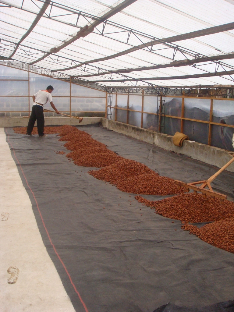 Walnut Processing and Drying Tent