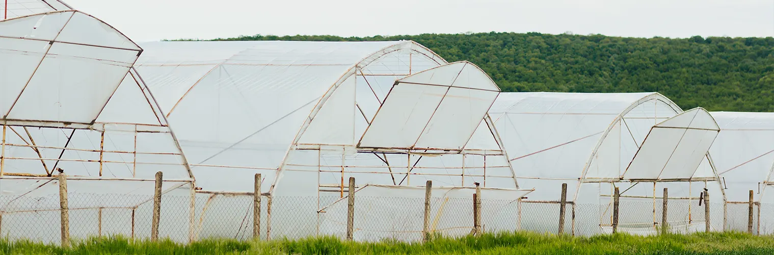 Refa Çadır ve Hayvan Ekipmanları